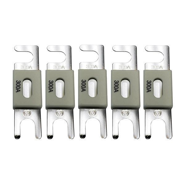 Victron Energy ANL-fuse 300A/80V (5 pc) Запобіжник 99-10025405 фото